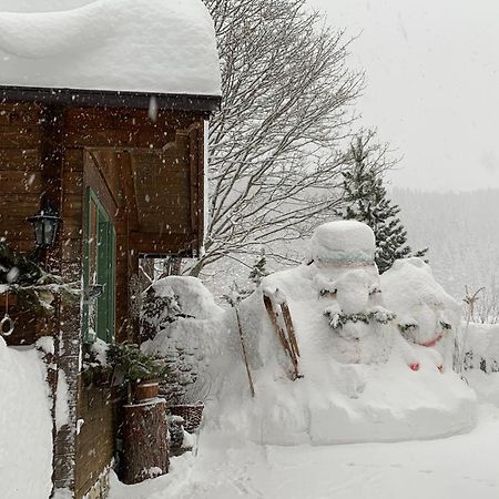 Appartement Aigner Mauterndorf  Kültér fotó